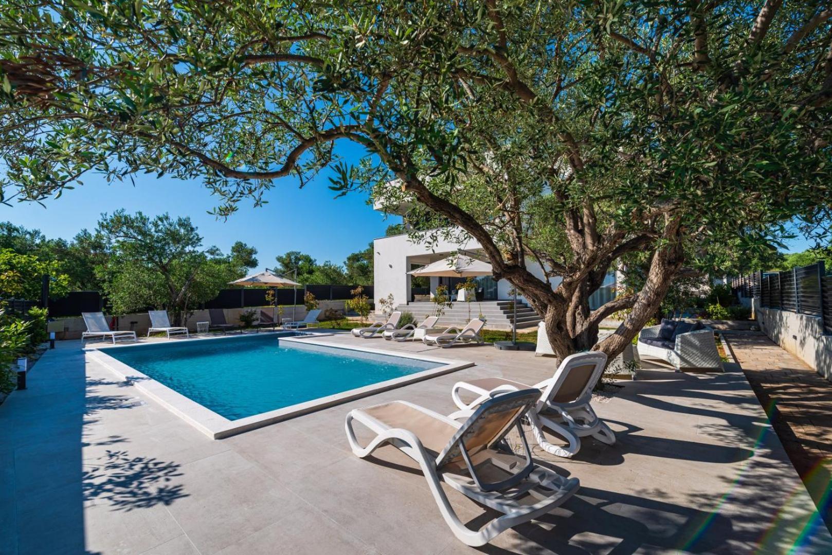 Crowonder Sun Dance Apartments With Heated Swimming Pool Seaview And Garden Sveti Filip i Jakov Εξωτερικό φωτογραφία